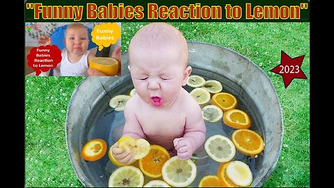"Baby Hilarity" - Non-Stop Laughter with Babies Funny babies Funny is all about the babies Try not to laugh challenge Funny vide
