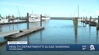 Blue-green algae at Pahokee Marina prompts new health alert