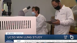 UCSD Scientist use mini lungs to better understand and treat COVID