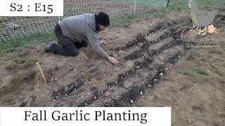 Fall Garlic Planting