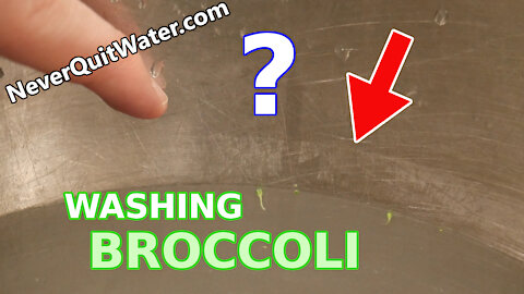 White Film Washed Off Broccoli (How to Wash Pesticides Off Your Food)
