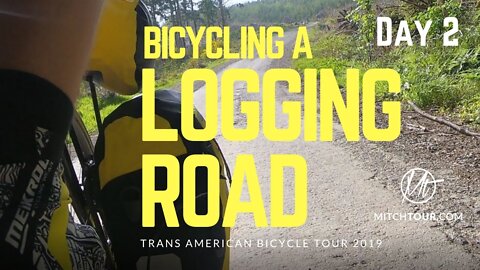Bicycling a LOGGING road