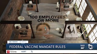 In-Depth: Federal vaccine mandate details revealed