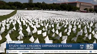 Study: 140K children orphaned by COVID-19 pandemic