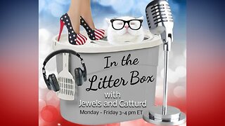 Twitter Space flop - In the Litter Box w/ Jewels & Catturd - Ep. 337 - 5/25/2023