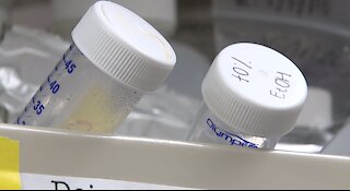 UNLV researchers tracking flu season through waste water