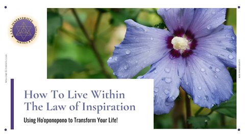 How to Live In The Law of Inspiration
