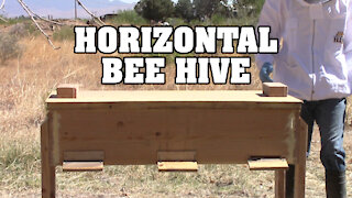 Building a Horizontal Bee Hive