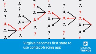 Virginia becomes first state to use contact-tracing app