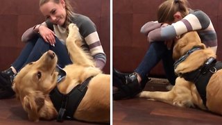 Adorable dogs don’t stop cuddling ‘upset’ owner until she’s happy again