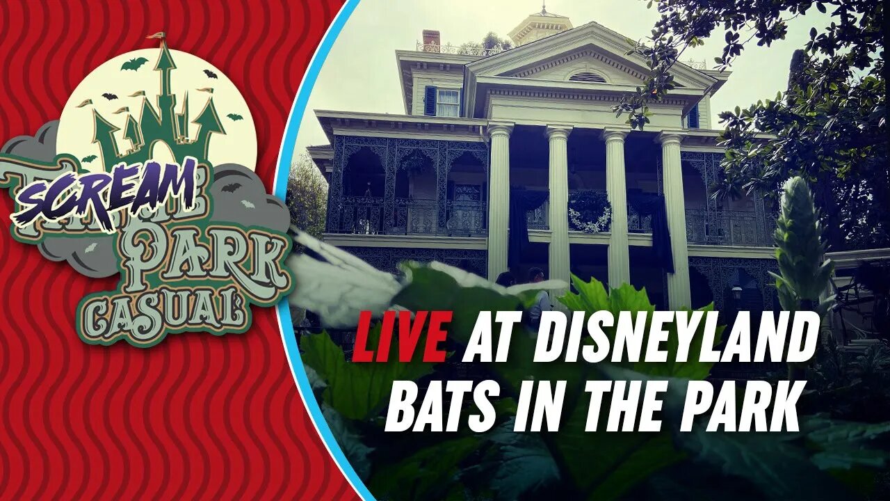 LIVE at Disneyland Bats in the Park Day 2023