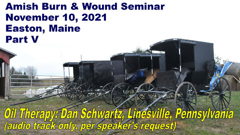 Amish Burn & Wound Seminar, Part V: Oil Therapy *AUDIO ONLY* Dan Schwartz, Linesville, Pennsylvania