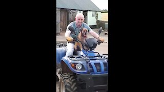 Happy doggy jumps on quad bike with owner