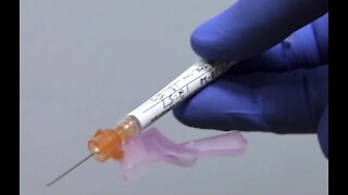 Trump challenges CDC director's vaccine timeline