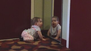 Babies Seeing Their Reflection