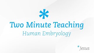 TM 2 | Answering Richard Dawkins - Human Embryology | Two Minute Teaching | Reasons for Hope