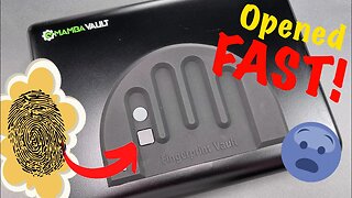 [1506] 2 Second Open: Mamba Vault Fingerprint Gun Safe