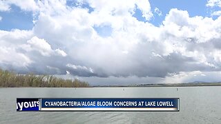 Health advisory issued for Lake Lowell