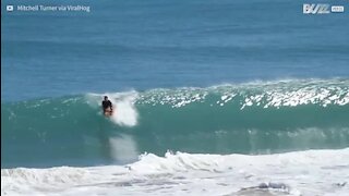 Surfista é arremessado para o alto por onda na Austrália