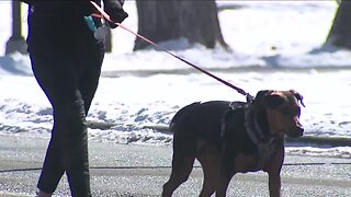 Highlands Ranch dog attack blamed on retractable leash that broke