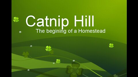 Catnip Hill - A New Beginning Homestead