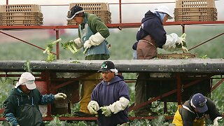 House Passes Citizenship Bill For Farmworkers
