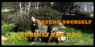 How to defend against a dog. Self defense against dog attack
