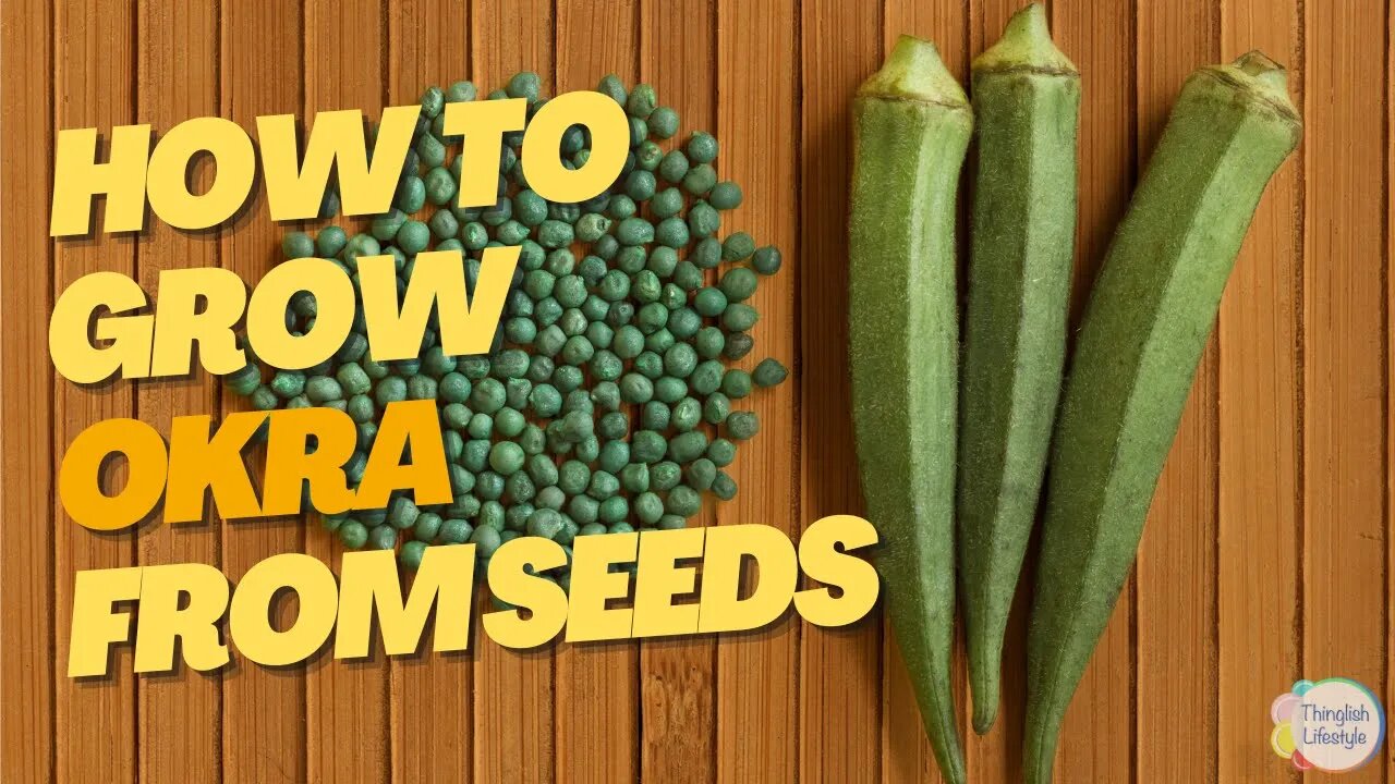 How to Plant Okra Seeds The Easiest Way to get Great Results