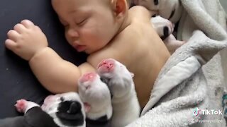 Baby sleeping with puppies is your daily dose of cuteness