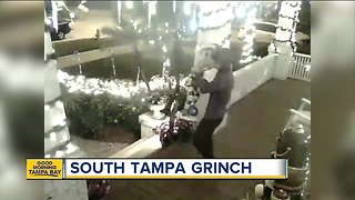 Security camera captures someone stealing Christmas elf in South Tampa