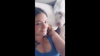 Pit Bull preciously cuddles with owner in this heartwarming clip