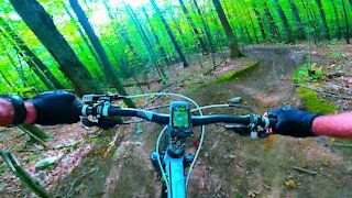 Mountain biker takes us on high speed thrill ride through beautiful forest