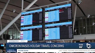Omicron COVID-19 variant raises holiday travel concerns