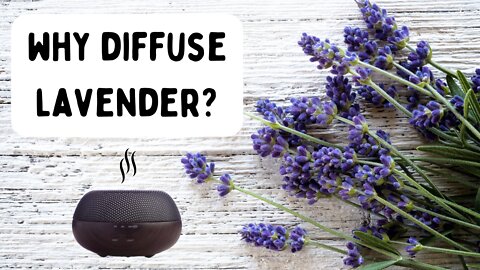 4 Benefits of Lavender Essential Oil in A Diffuser