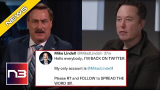 My Pillow CEO Mike Lindell Rejoins Twitter, Gets BAD News Immediately