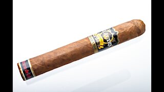 Exactus Habano Toro Cigar Review