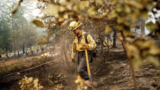 Crews Make Progress Against Destructive Fire Near Yosemite