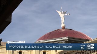 Republican lawmaker wants constitutional amendment banning critical race theory