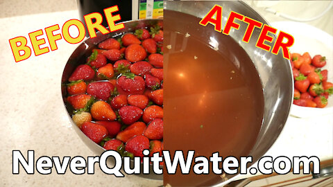 Washing Pesticides Off Strawberries🍓 - BEFORE and AFTER - NeverQuitWater.com