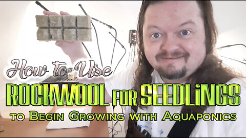 ThatAquaponicsGuy Using Rockwool for your Seedlings