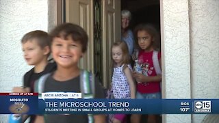 Mesa company behind microschool boom in Arizona