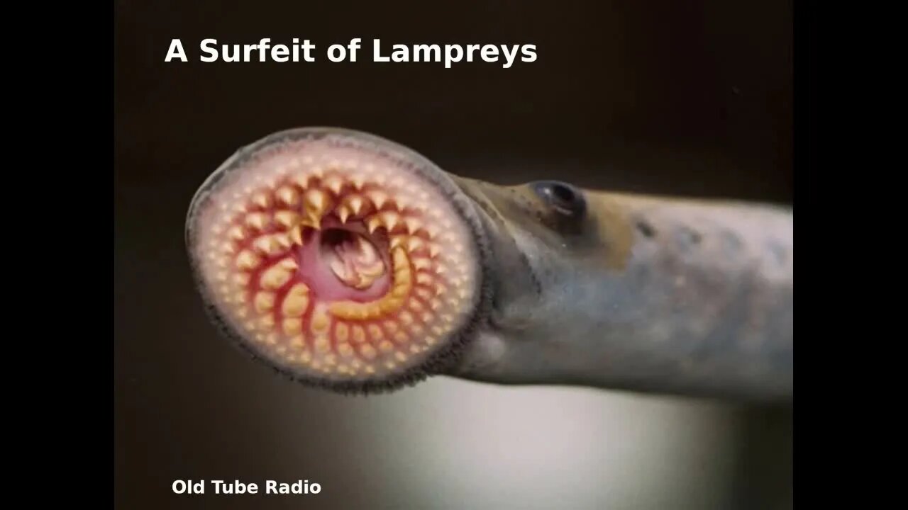 Inspector Alleyn - A Surfeit of Lampreys