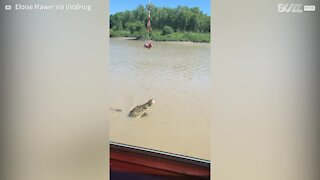 Giant crocodile rears out of water to impresses sightseers