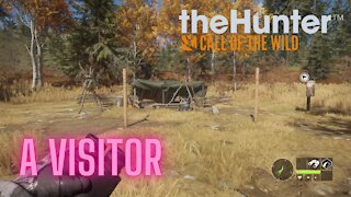 The hunter call of the wild серебряные вершины гайд