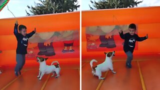 Little boy enjoys bouncy castle with his doggy