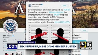 Sex offender, MS-13 gang member arrested by Border Patrol agents