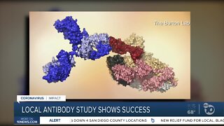 Local antibody study shows success
