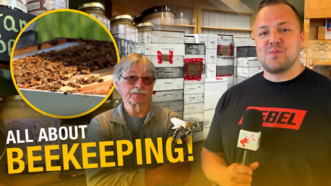 Honey 101: Rebel News visits an apiary to learn about beekeeping