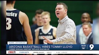 Wildcats hire Tommy Lloys as head men's basketball coach