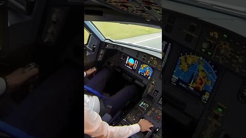 👌Super Smooth Airbus Landing